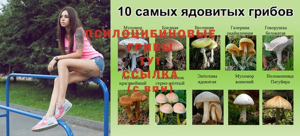 амф Корсаков