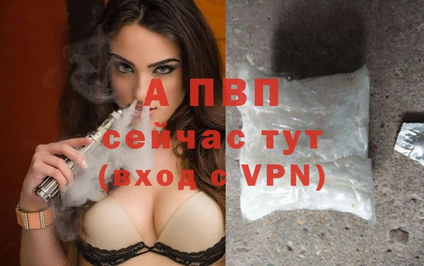 амф Корсаков