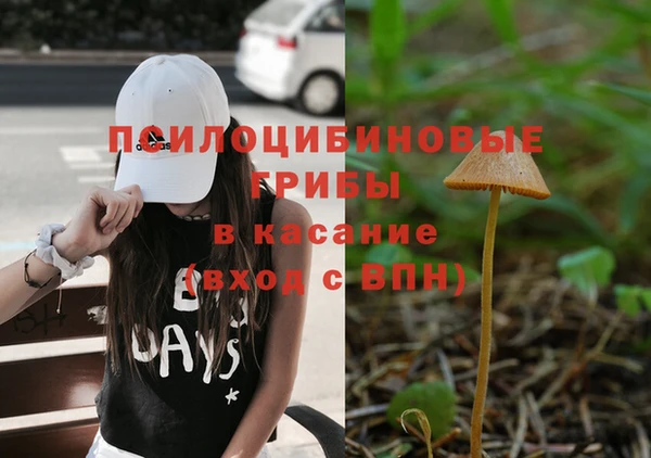 амф Корсаков
