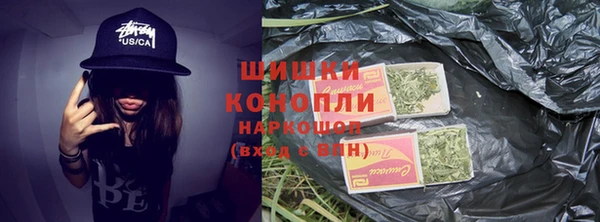 амф Корсаков